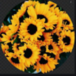 Meet your Posher, Gabby